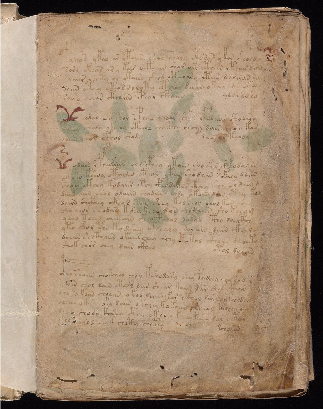 Original manuscript of Folio 1r